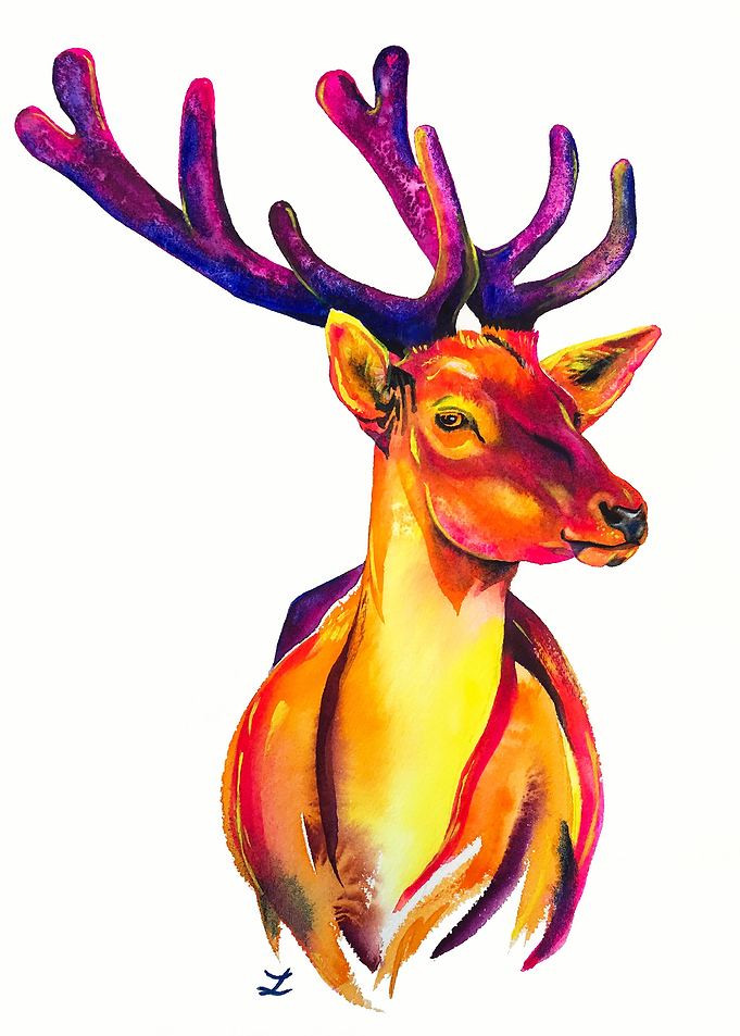 Red Deer