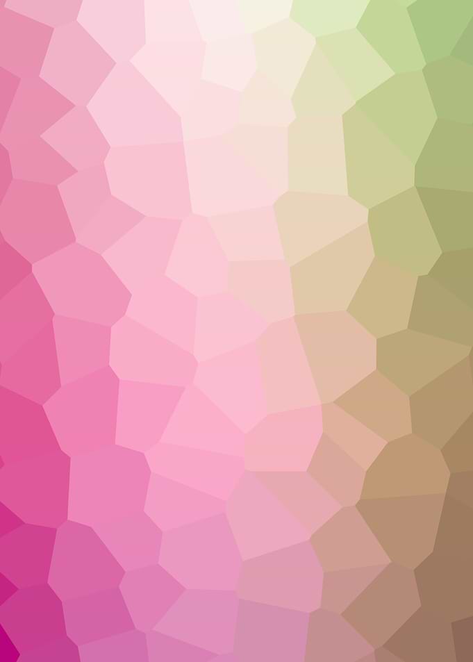 low poly polygon delaunay