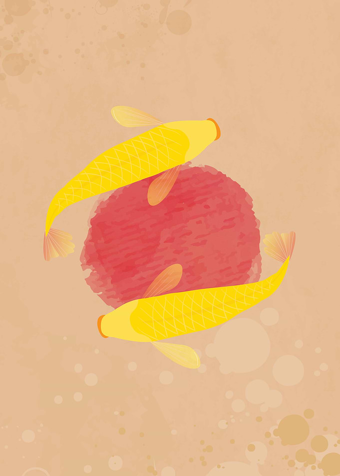 Ogon fish koi