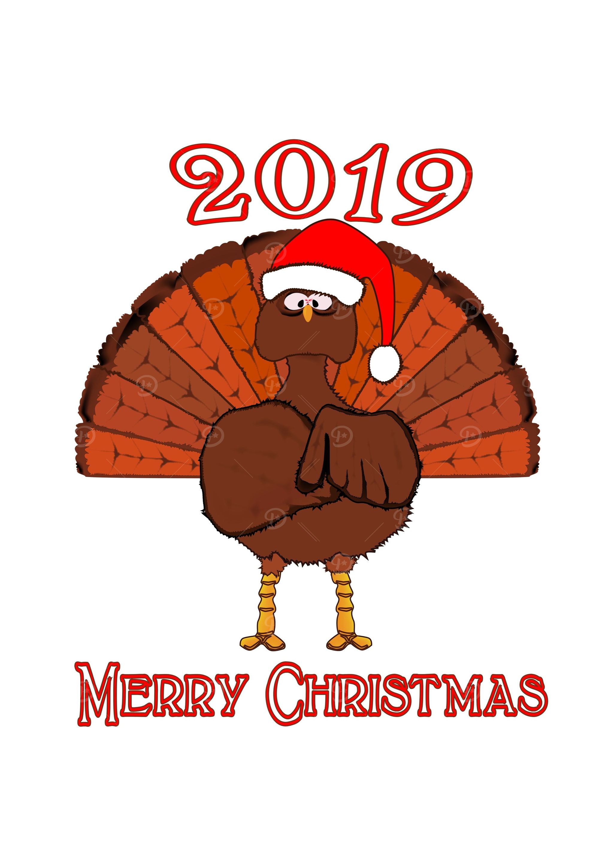 2019 Christmas Turkey