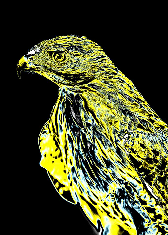 Hurray Artwork uploaded