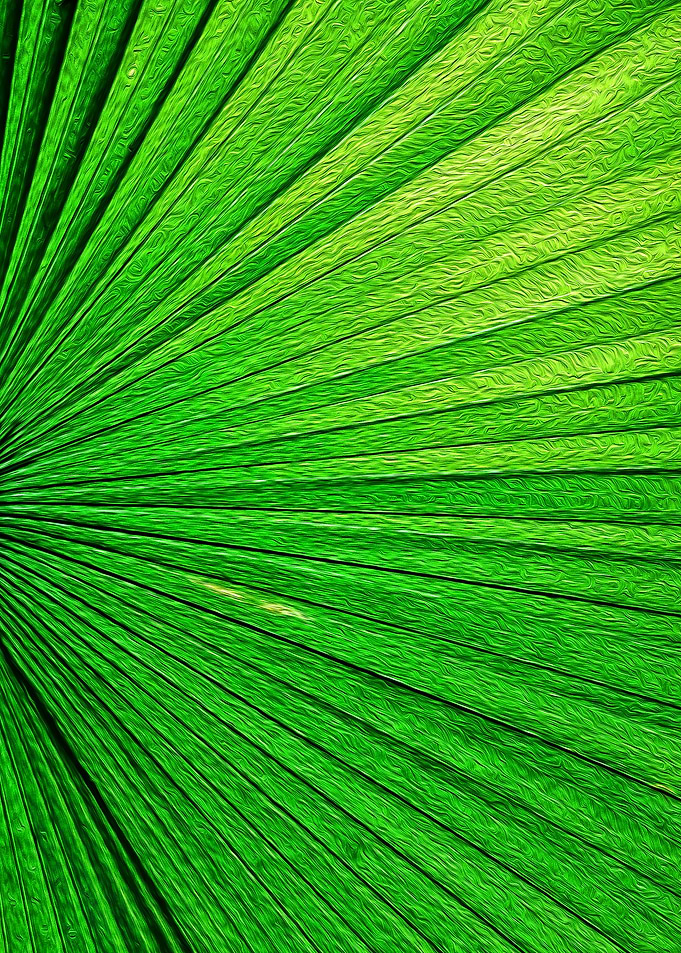 Green Leaf