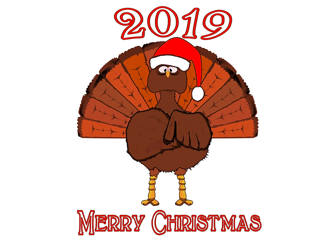 2019 Christmas Turkey
