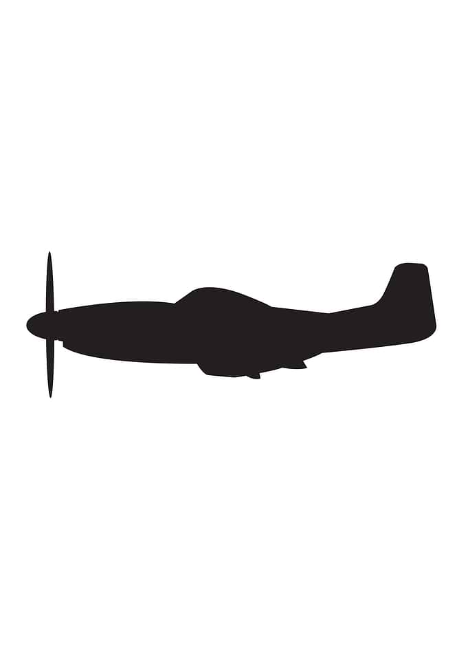 Mustang USA WW2 Fighter