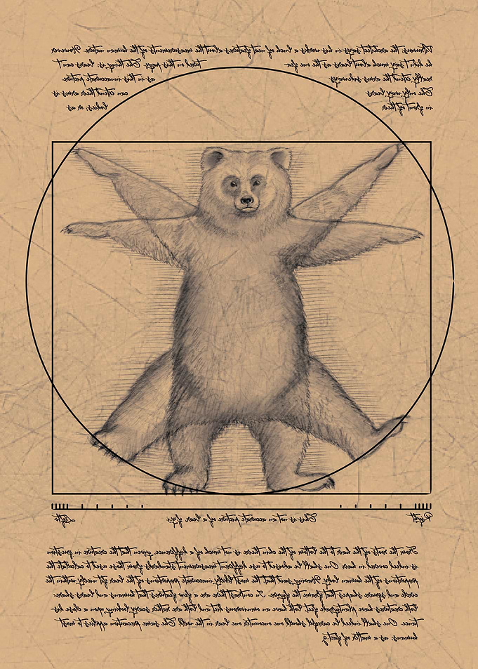 The Vitruvian Bear