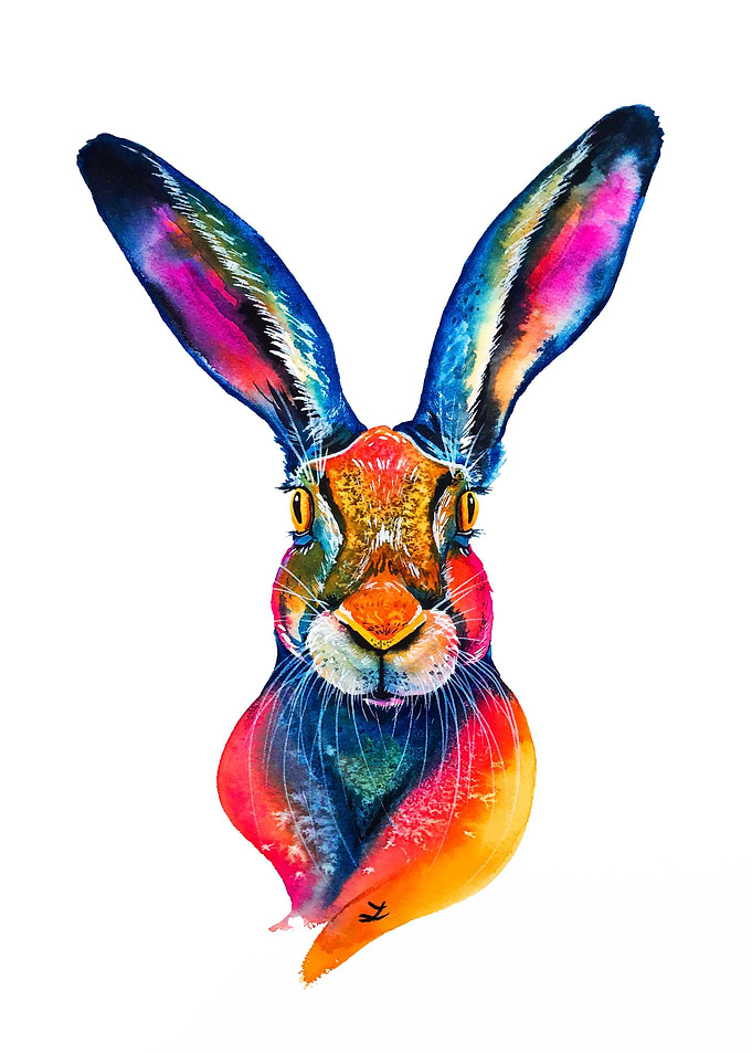 Hare