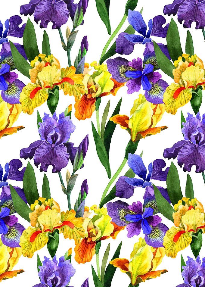 Iris Pattern 02