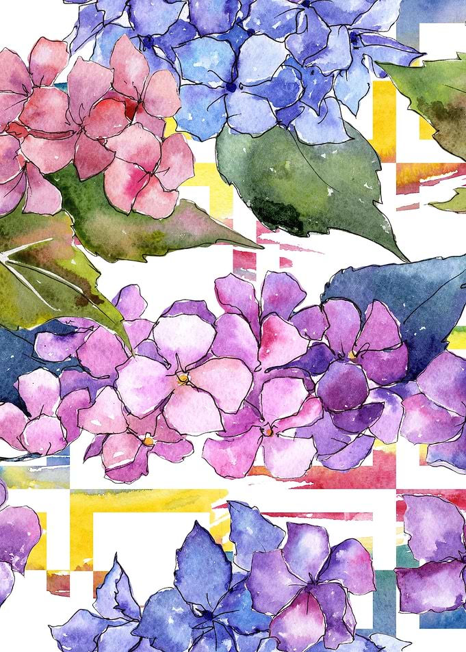 Hydrangea Pattern 30
