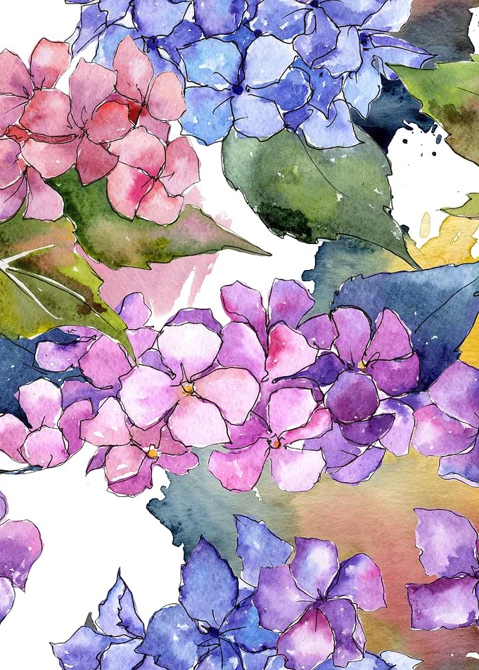 Hydrangea Pattern 18