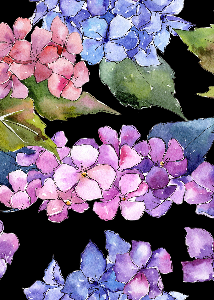Hydrangea Pattern on B 01