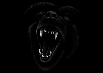 Angry Dog Head Drawing