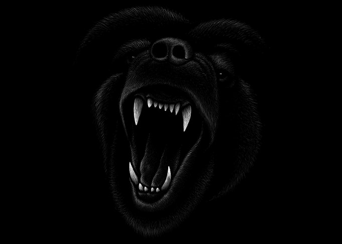 Angry Dog Head Drawing