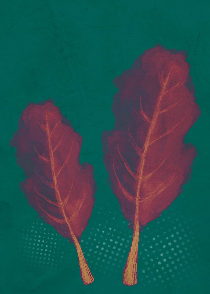 Fresh beetroot