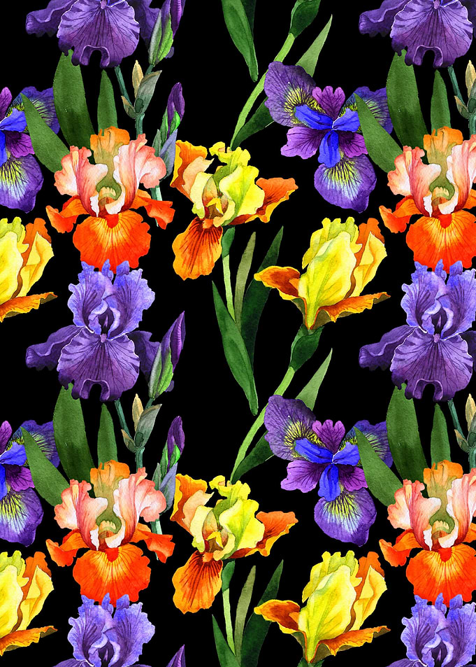 Iris Pattern on Black 02