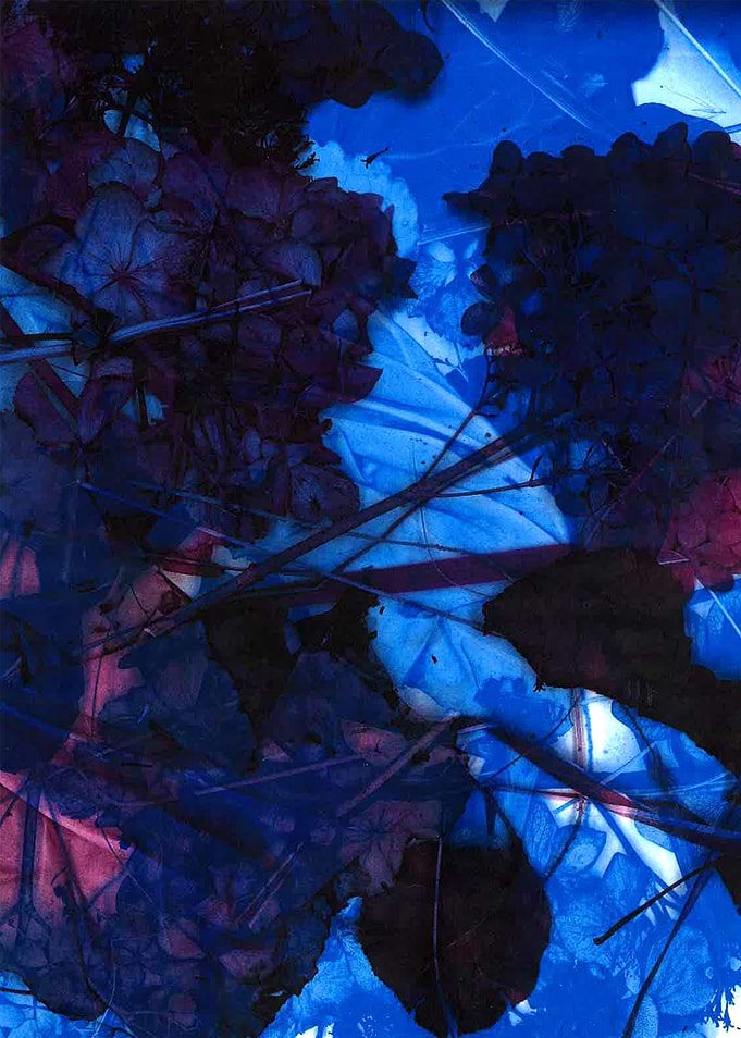 Leaves of nature 06