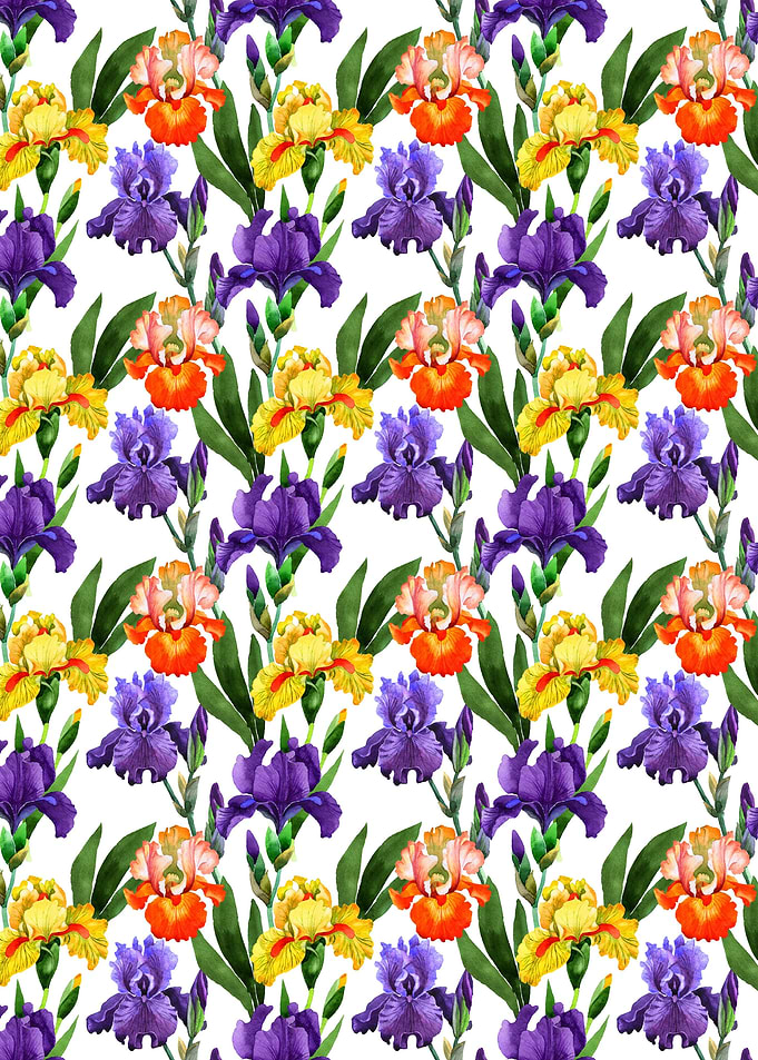 Iris Pattern 08