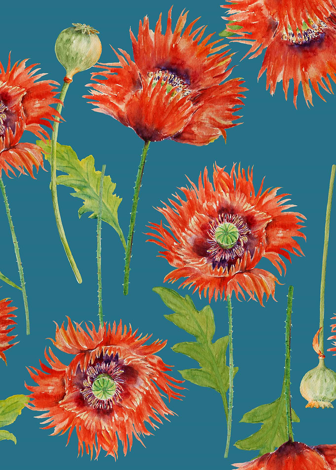 Blue Poppy Pattern 08