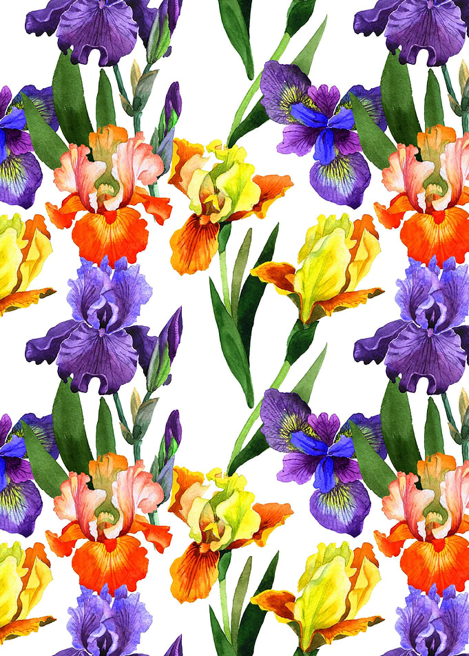 Iris Pattern 04