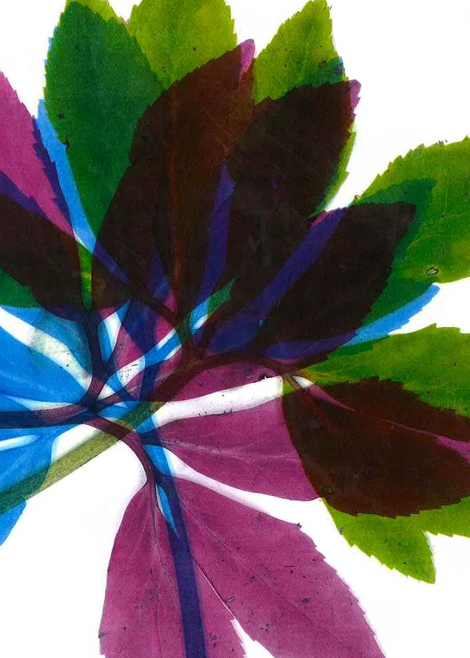 Leaves of nature 04