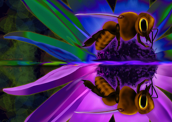 Bee in a Paralel Universe