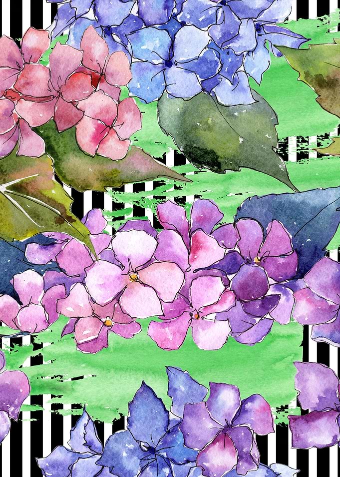 Hydrangea Pattern 12