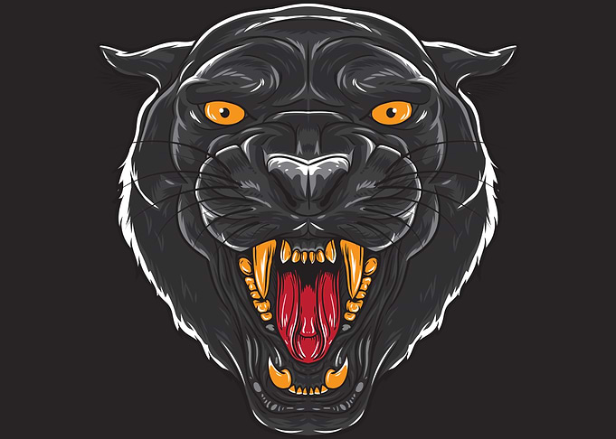Angry black panther