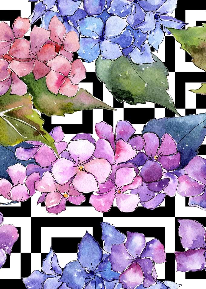Hydrangea Pattern 32