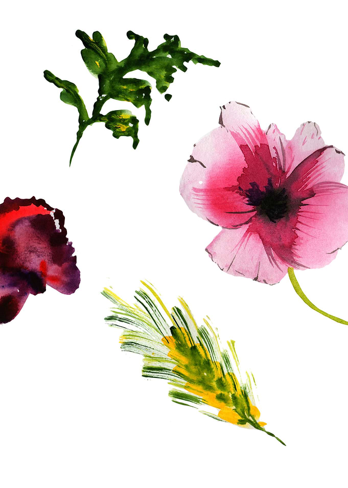 Poppies 02