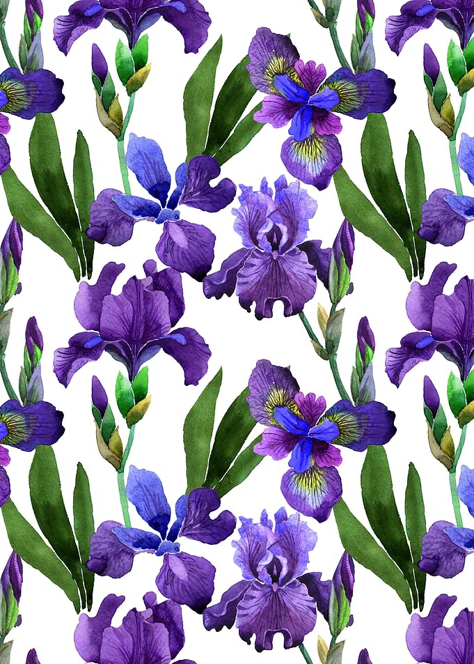 Iris Pattern 06