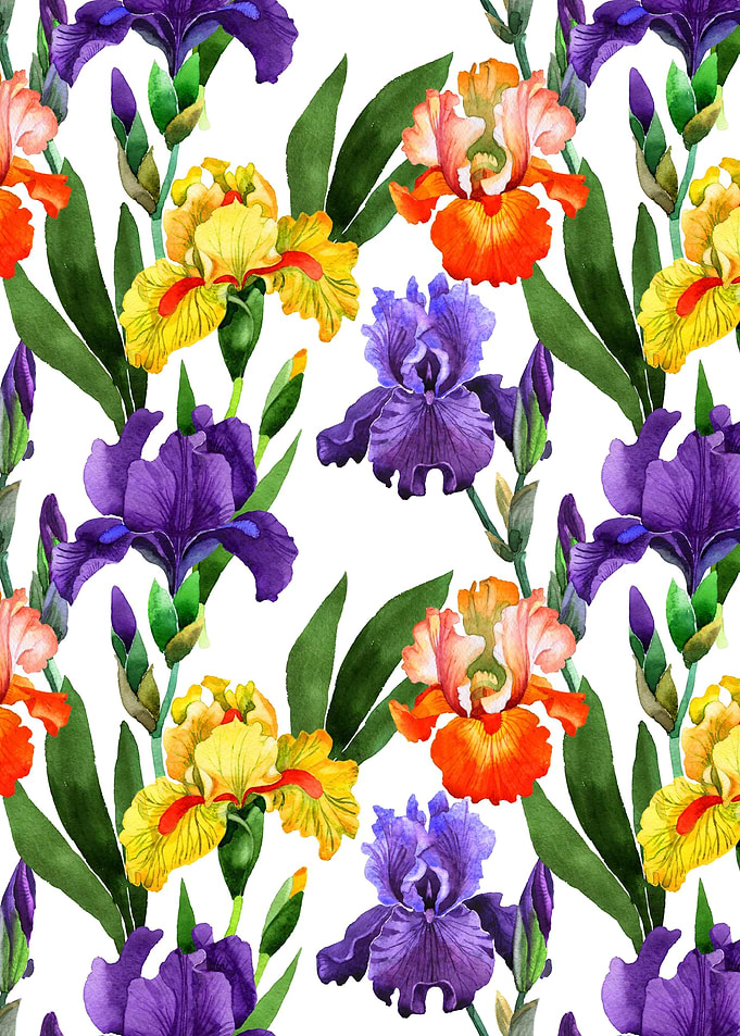 Iris Pattern 09