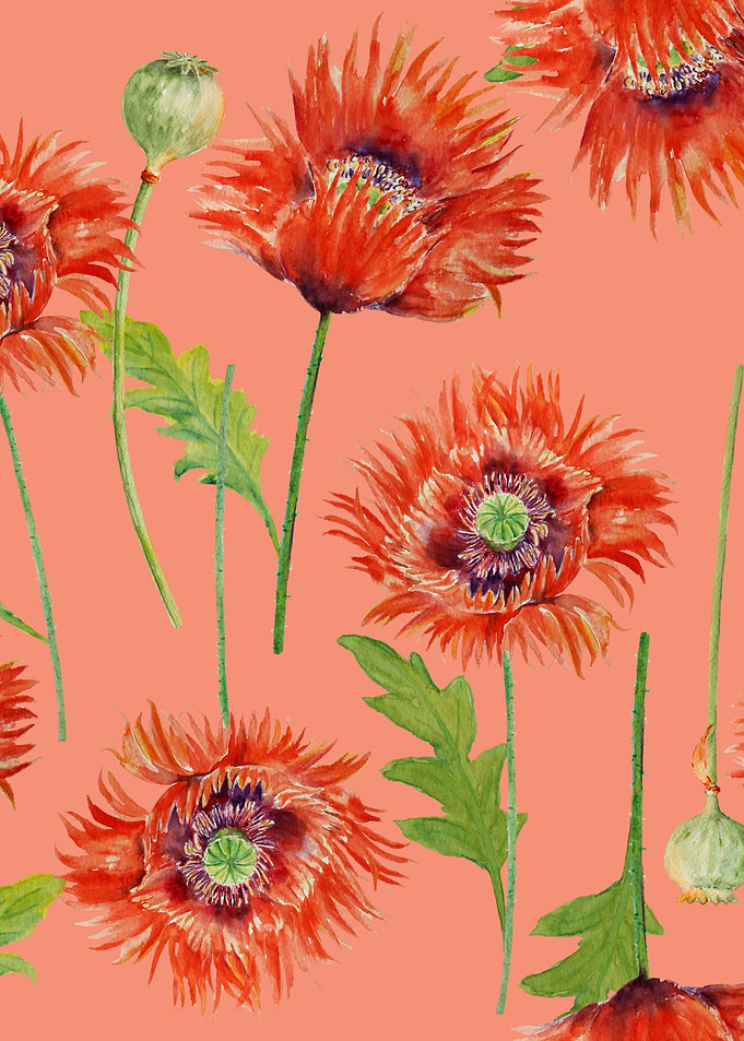 Orange Poppy Pattern 01