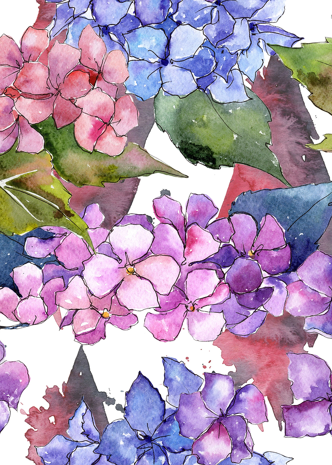 Hydrangea Pattern 20
