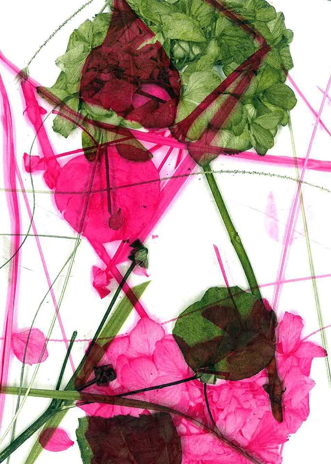 Leaves of nature 07