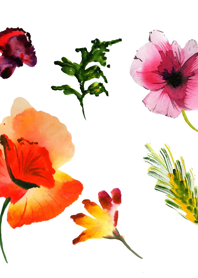 Poppies 07
