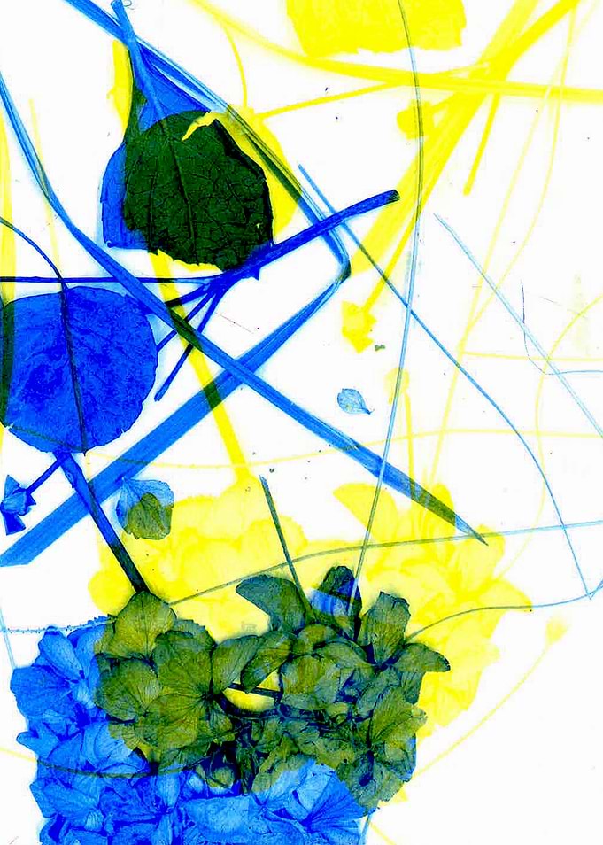 Leaves of nature 08