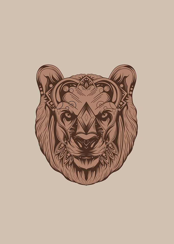 Bear illustration