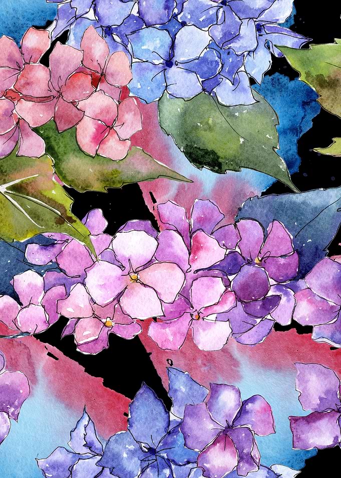 Hydrangea Pattern on B 06