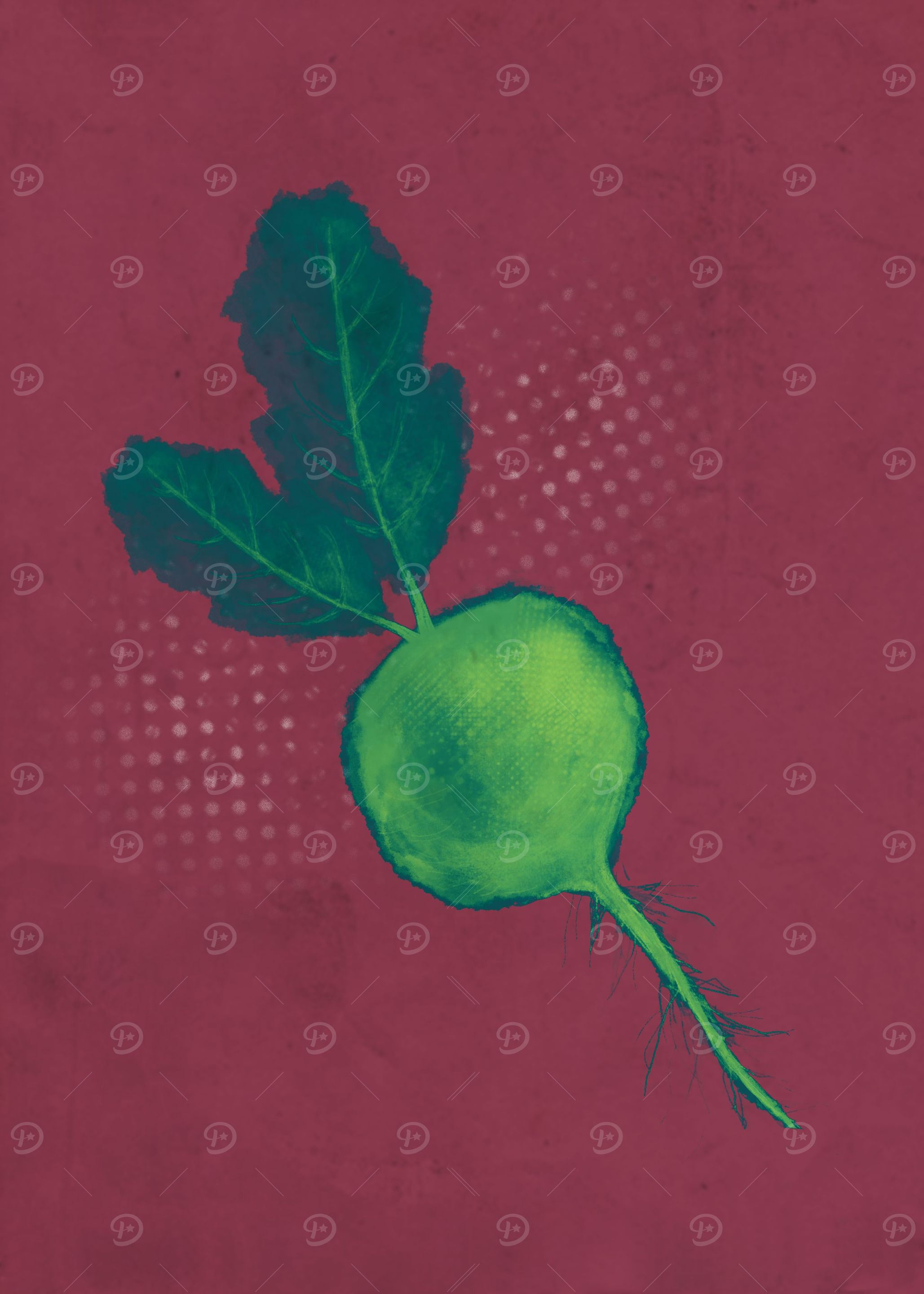 Fresh beetroot