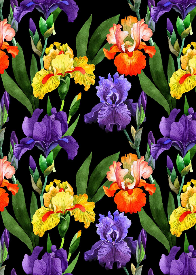 Iris Pattern on Black 04