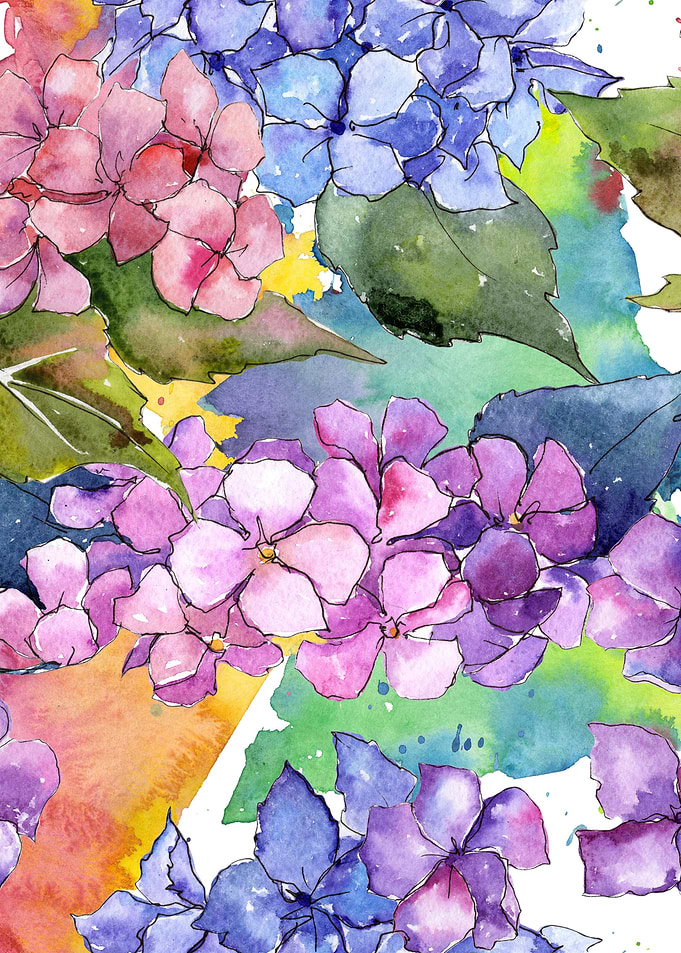 Hydrangea Pattern 29