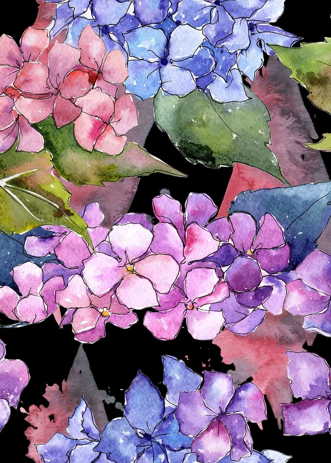 Hydrangea Pattern on B 05