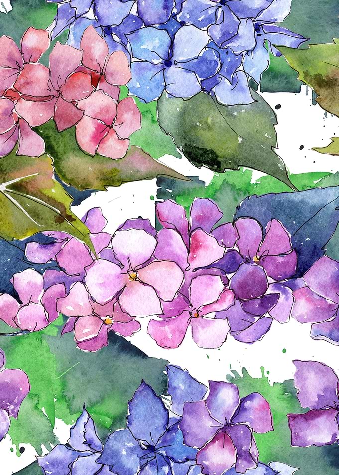 Hydrangea Pattern 10