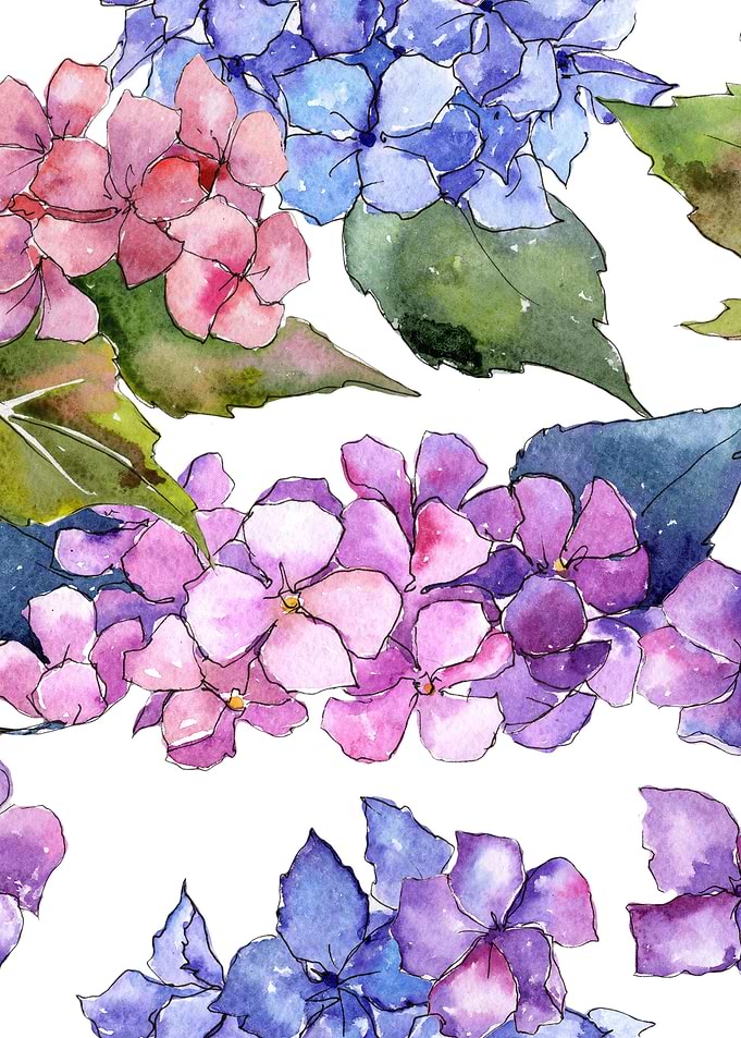 Hydrangea Pattern 02