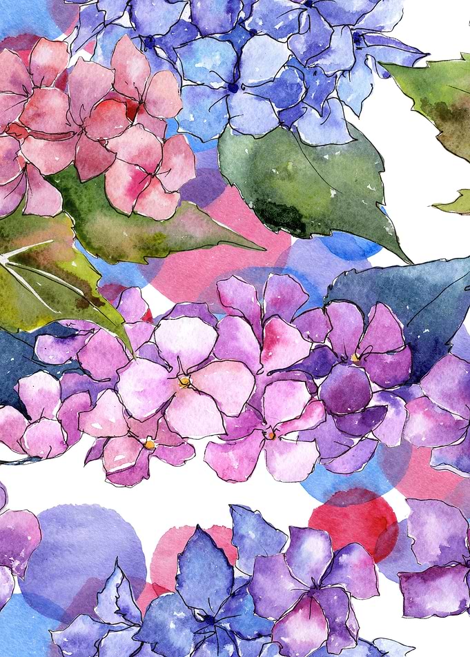 Hydrangea Pattern 27