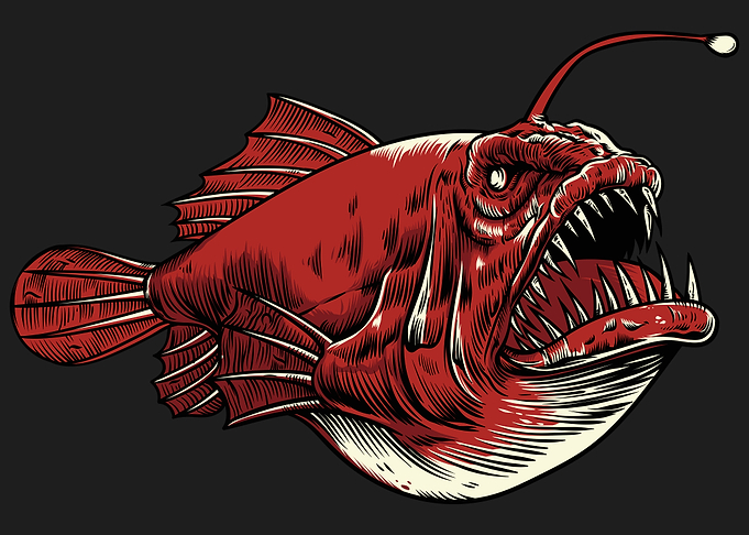 Angler Red fish