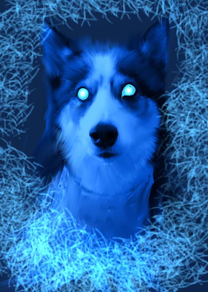 Dog in abstract blue