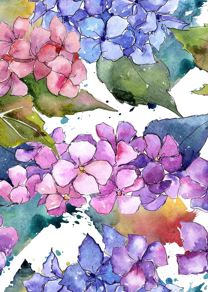 Hydrangea Pattern 07