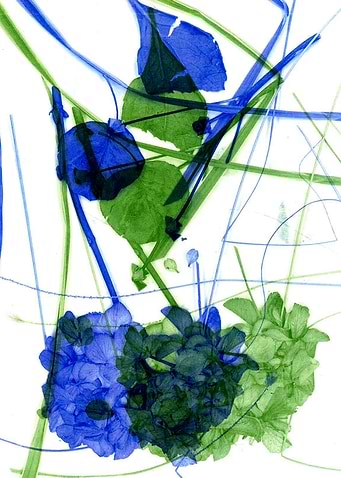 Leaves of nature 03