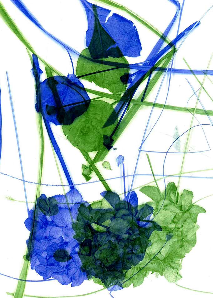 Leaves of nature 03