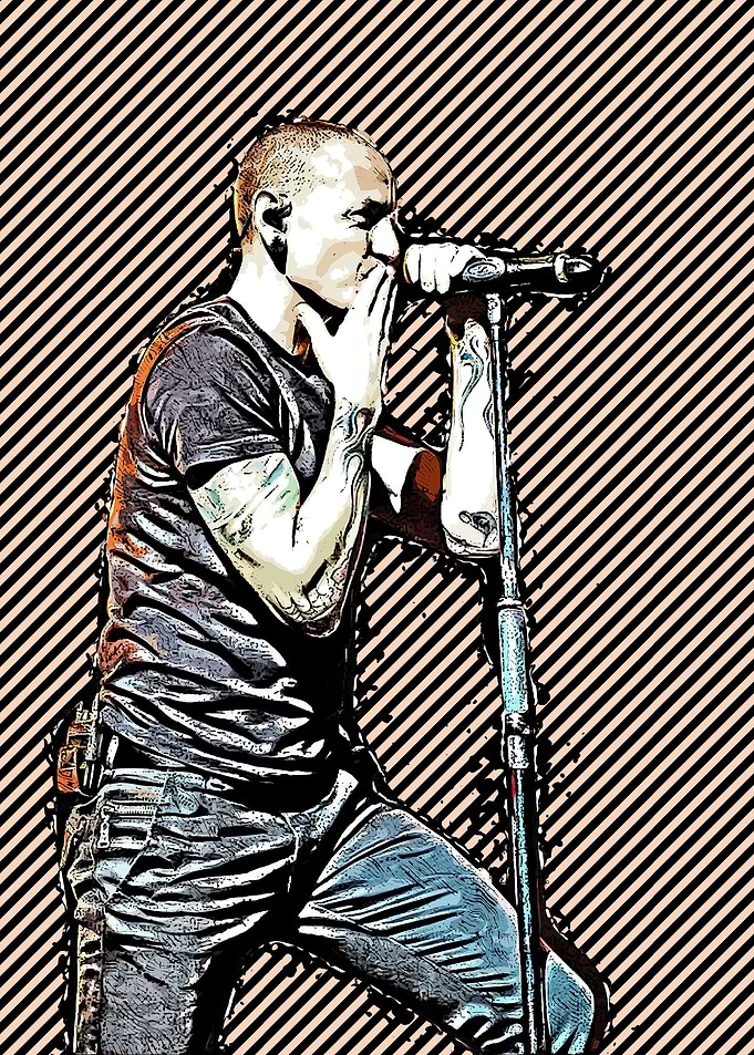 chester rockers vector